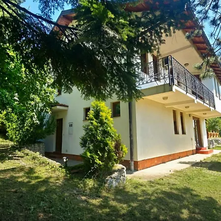 Evergreen * Vlakovo